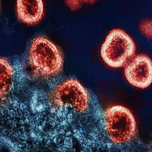 Germs: Making Sure You're the Only Thing Living in Your Shoes
