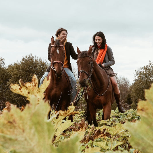 How to Break In Riding Boots